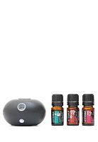 картинка Holiday Trio 5 ml w/ Black Bubble / Набор «Ароматная симфония» Эфирных масел doTERRA от интернет магазина doTERRA.moscow