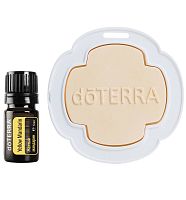 картинка Yellow Mandarin 5 ml w/ Ceramic Ornament / Набор «Солнечный день» Эфирных масел doTERRA от интернет магазина doTERRA.moscow